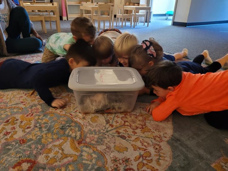 Montessori –  Present XII